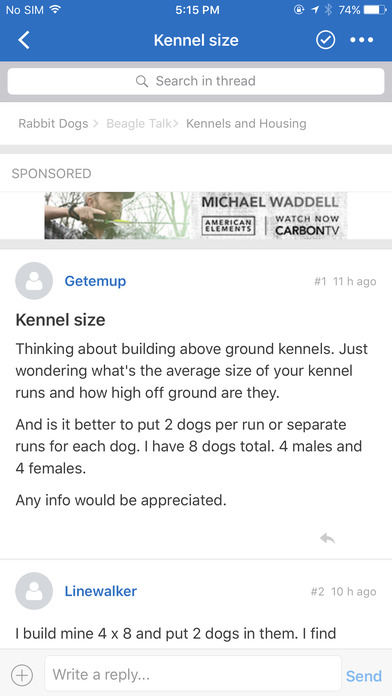 Rabbit Dogs