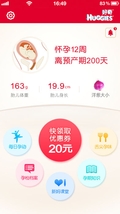 大肚皮助手