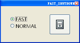 FAST SHUTDOWN(ٹػ)