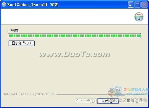 RealCodec