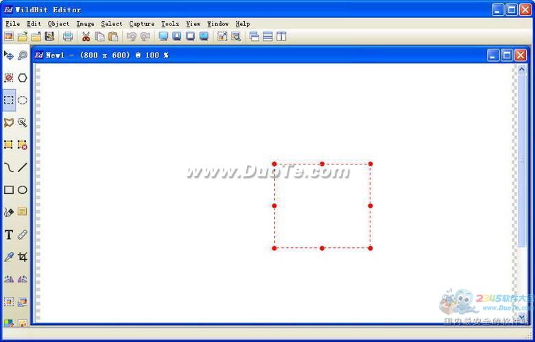 WildBit Viewer(ͼƬ)