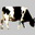 ҵר 2004