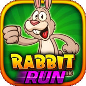 Rabbit Run Game