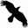 Data Crow