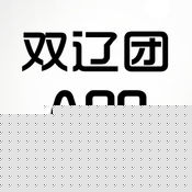 ˫