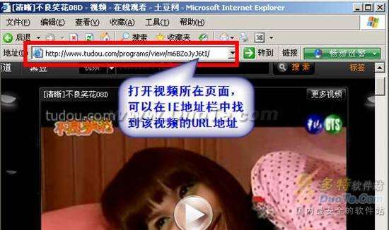 把网络视频搬回家:维棠FLV下载