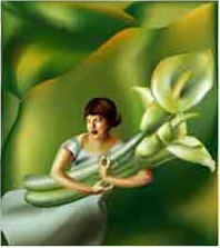 Illustrator 8.0Ž̳̣һ֮񽥱ƻͼ