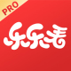ֿPro