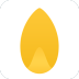 Seed