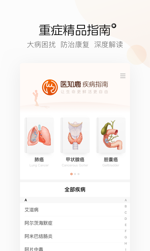 ｡