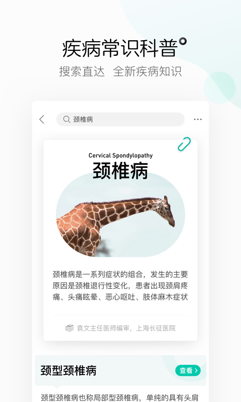 ｡