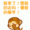QQ