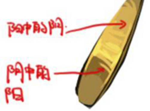 PhotoshopƻMM廭
