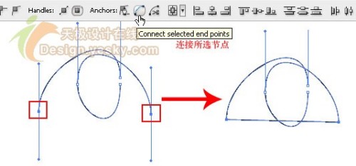 Adobe Illustrator CS3ԽĽ