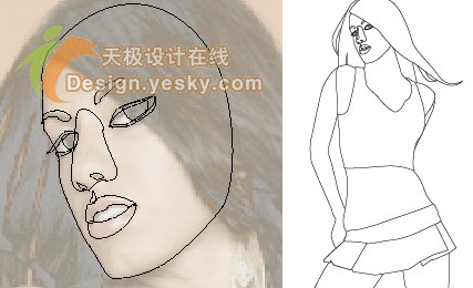 IllustratorƬΪʸʱ廭
