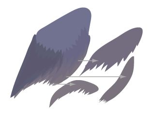 Illustratorɫ׻ϸ廭