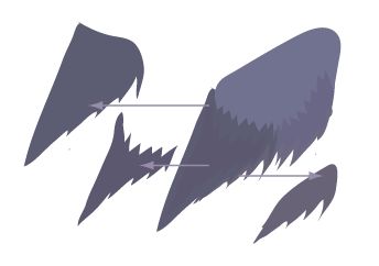 Illustratorɫ׻ϸ廭
