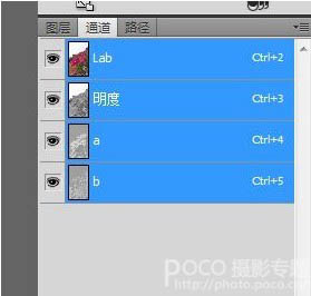 PSƬЧ߼̳֮Labͨͻ