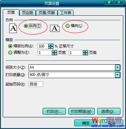  / ѡ