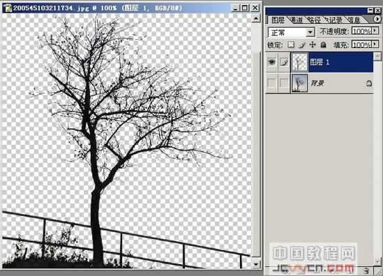 photoshopͼ̳-֦ͼ