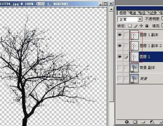 photoshopͼ̳-֦ͼ