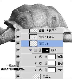 psʵ-̬