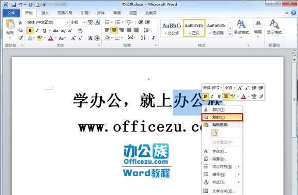 Word2010Insert