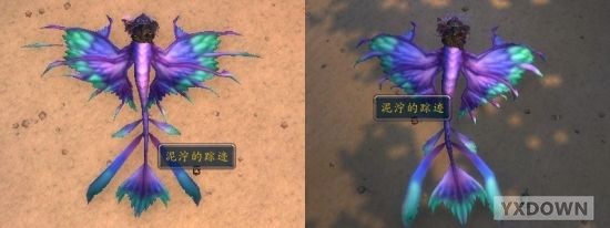 《熊猫人之谜》如何捕捉稀有宠物