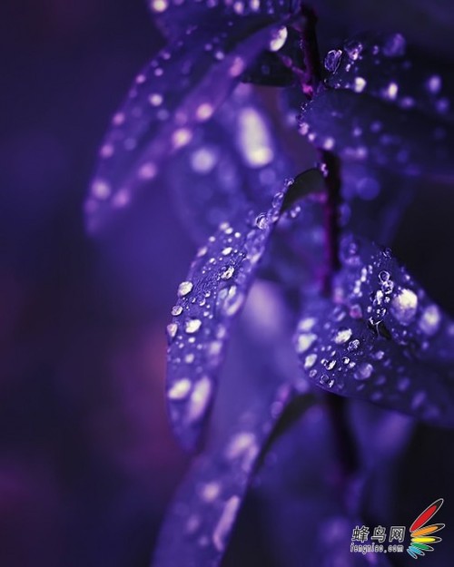 ӪǿӾ ˮ㼼ȫ