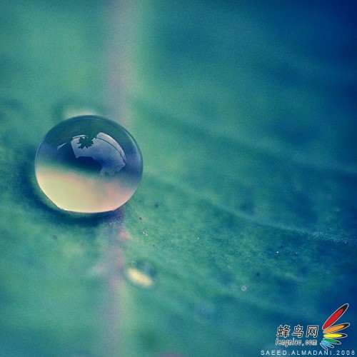 ӪǿӾ ˮ㼼ȫ