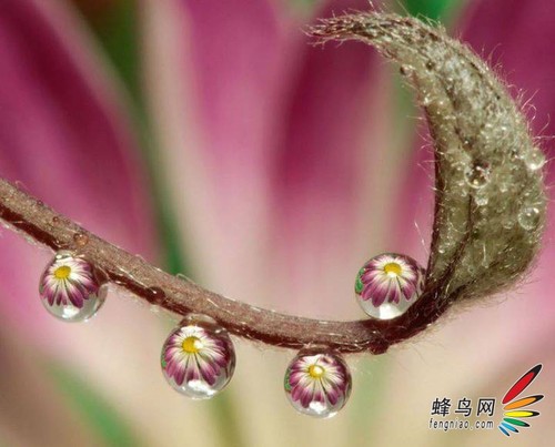 ӪǿӾ ˮ㼼ȫ