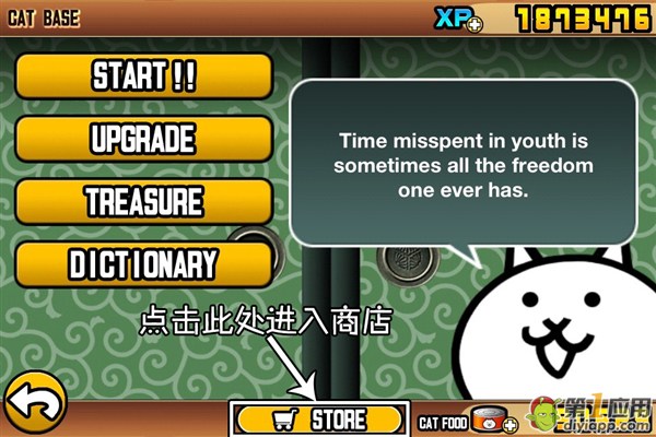 ˴սﹺXP