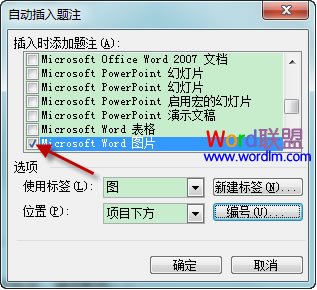 Word2003Զע