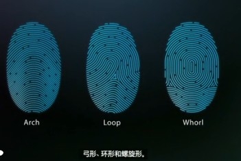 iphone5s指纹识别怎么使用？