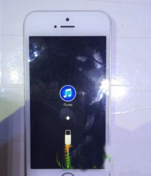 iphone5sô