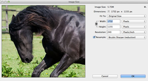 Photoshopɵ10ټ