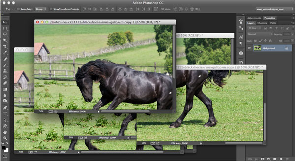 Photoshopɵ10ټ