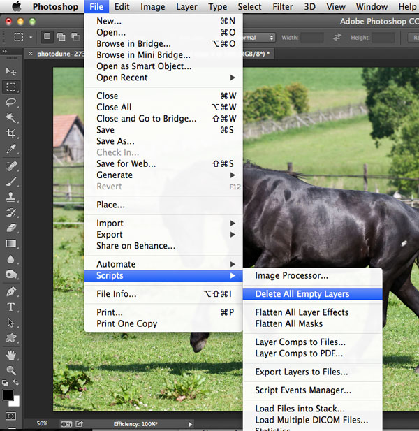 Photoshopɵ10ټ