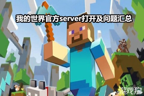 ҵ硷ٷserver򿪼