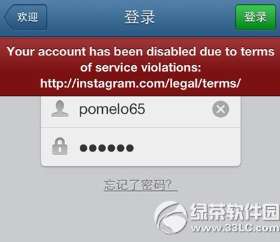 instagramô