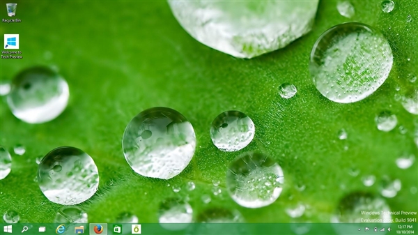 ˵Windows 10