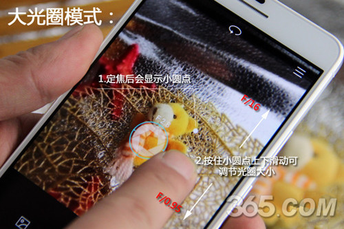 ҫ6 plus