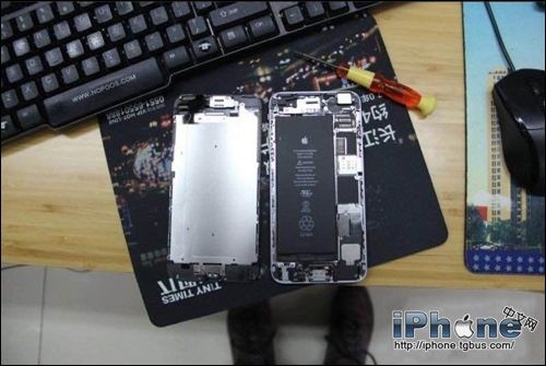 iPhone6ֻͷ˽
