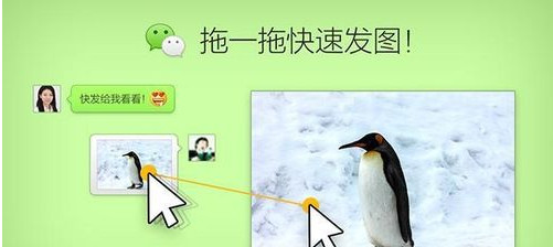 qq΢