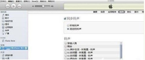 iPhoneֻ