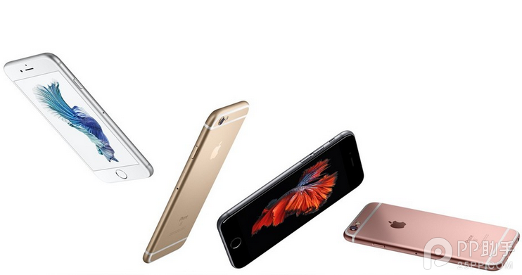 16GBiPhone6s/6s PlusǷ?