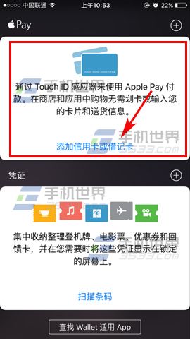 Apple Pay