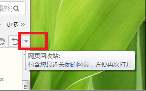 win7ϵͳCookieۼô