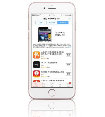 applepay֧ʲô