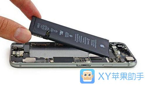 ô鿴iPhoneѭ